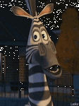 pic for MADAGASCAR GIF